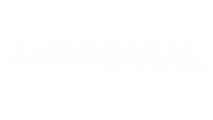 MINNIMAL Network